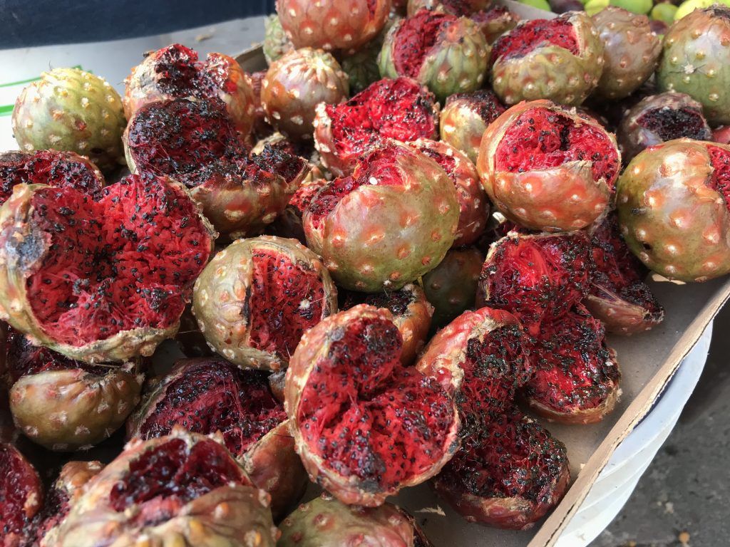 Pitaya, la fruta del desierto de Sonora