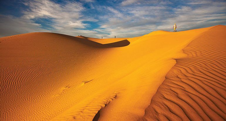 El desierto de Sonora, ¡un lugar lleno de vida!