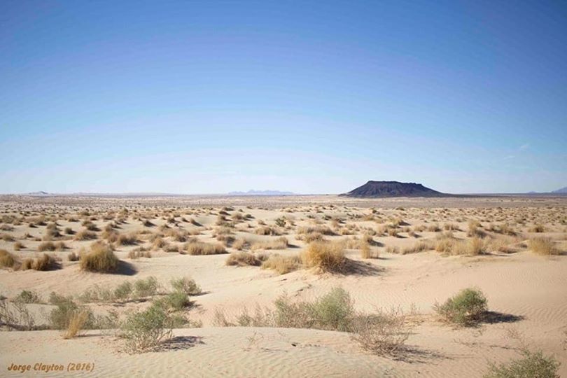 LAS PELIGROSAS TRAVESÍAS POR EL DESIERTO DE ALTAR