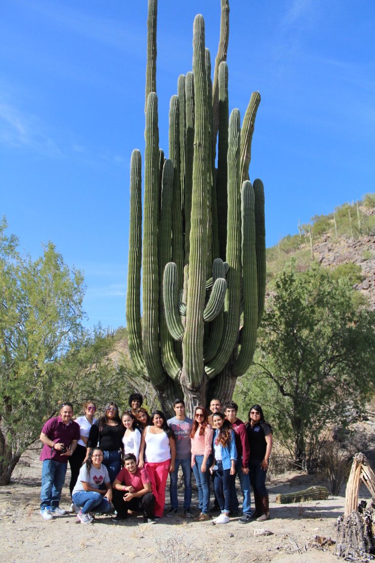 Viajando en el Desierto de Sonora