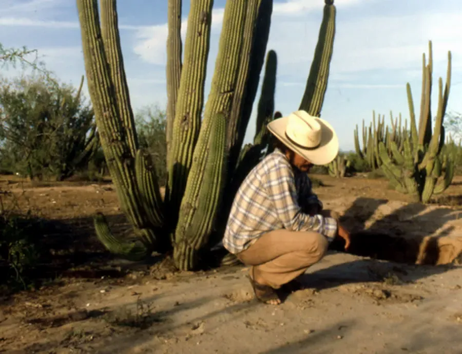 Etnografía del pueblo yaqui de Sonora.