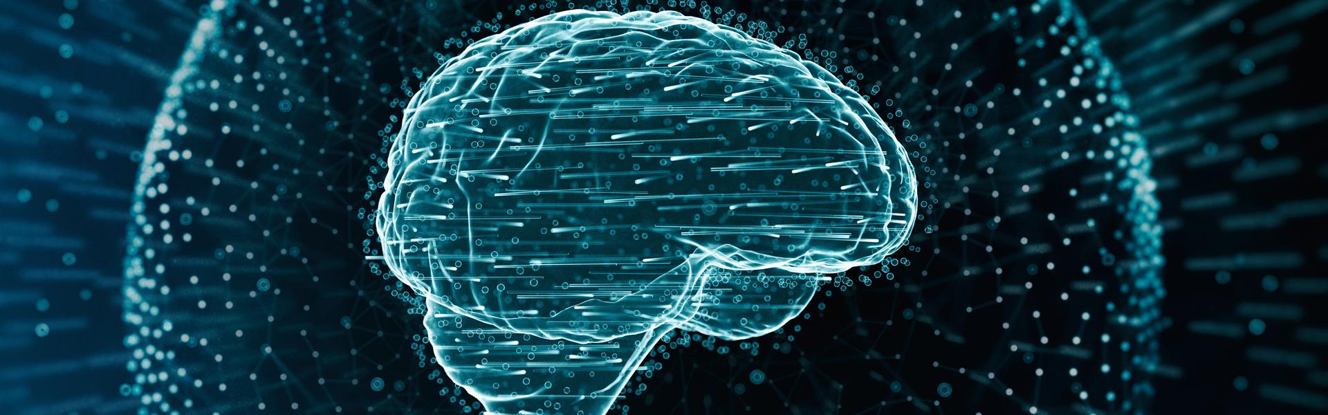 ¿Qué es la consciencia? ¿Cómo la crea el cerebro?