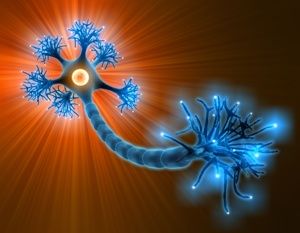 El lenguaje químico de las emociones