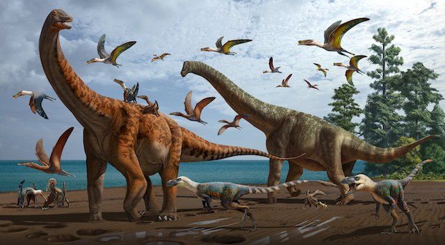 ¿QUÉ TAN VIEJOS LLEGABAN A SER LOS DINOSAURIOS?