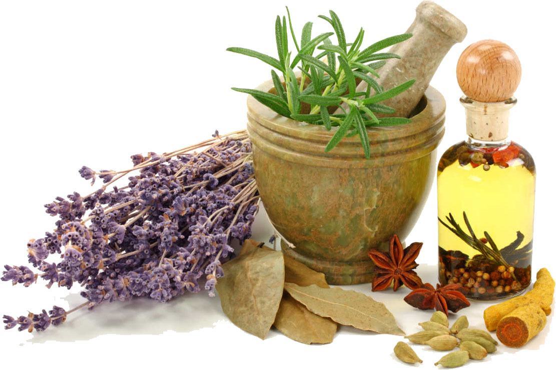 8 recetas de tés con hierbas y semillas que sanan
