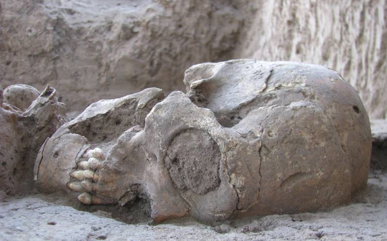 Los cráneos ovalados del cementerio prehispánico de Ónavas