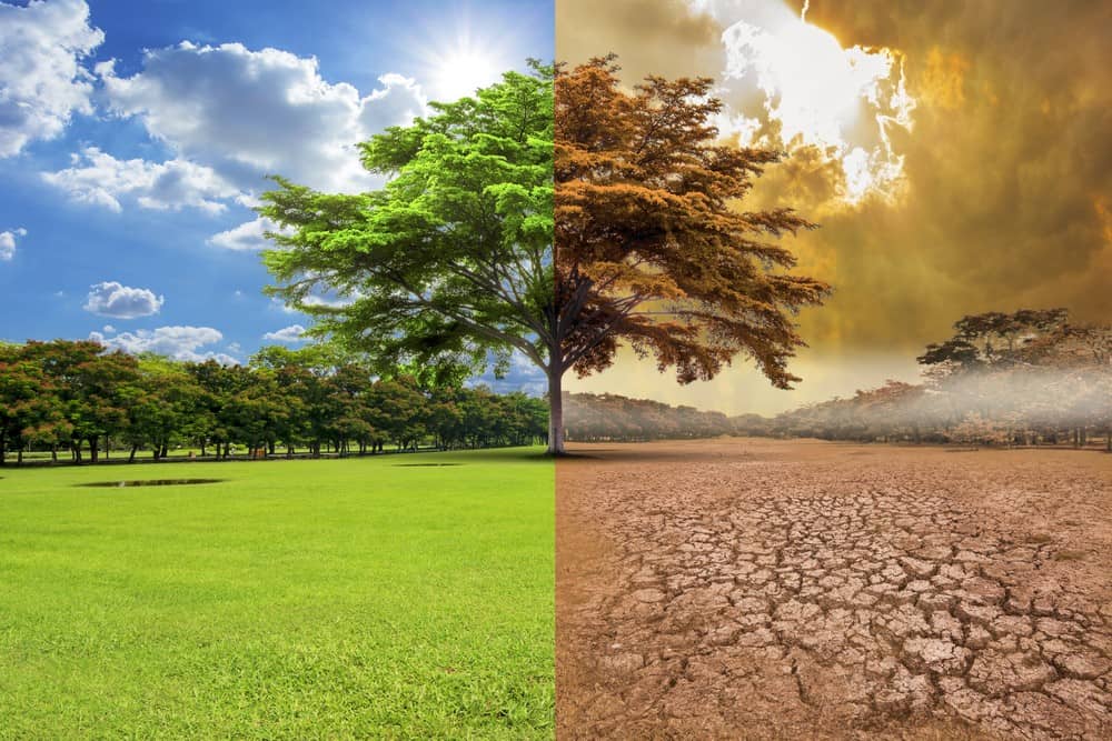 Las causas del cambio climático