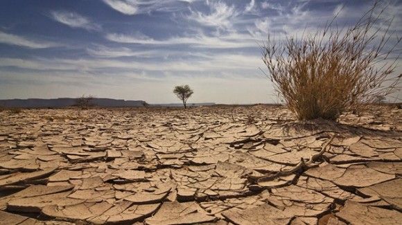 Científicos descubren que en la arcilla podría estar el origen de la vida en la Tierra