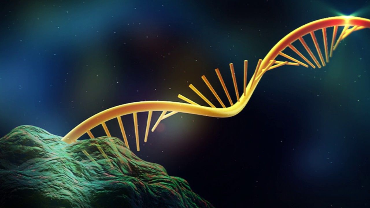 ¿Sabemos cómo comenzó la vida en la Tierra?