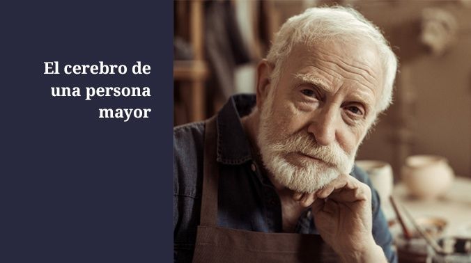 El cerebro de una persona mayor