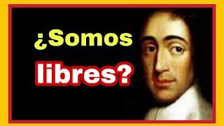 ¿Cómo era el Dios de Spinoza y por qué Einstein creía en él?
