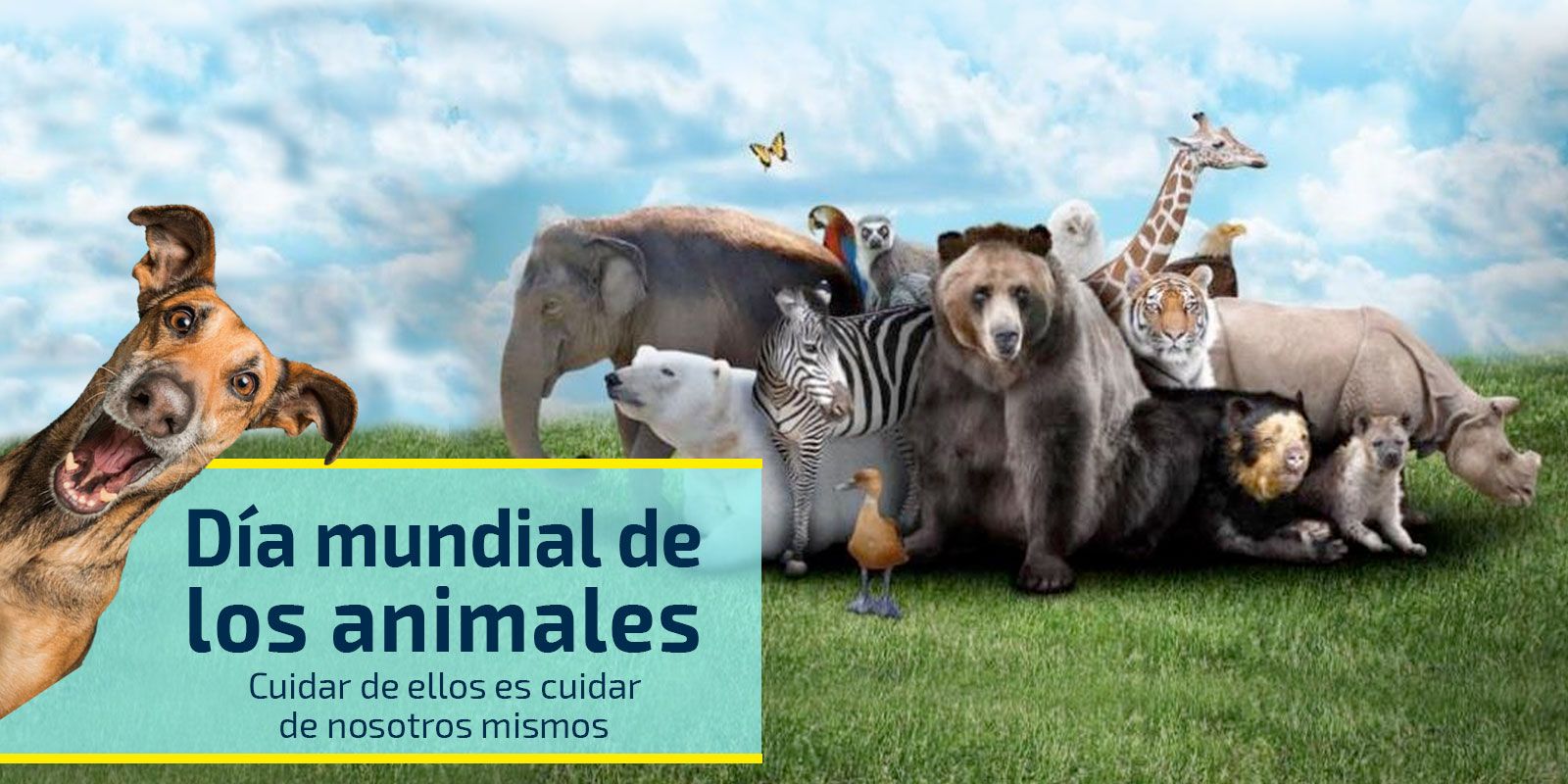 Día Mundial de los Animales