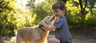 ¿Los perros son conscientes de sí mismos? Cómo nuestro comportamiento puede influir en ellos
