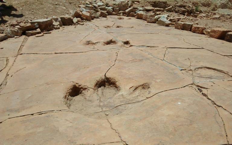 Dinosaurios de Sonora: Un viaje al pasado prehistórico