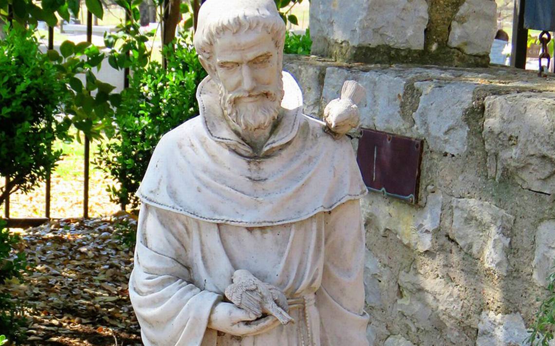 San Francisco de Asís: Un alma transformada por el amor divino