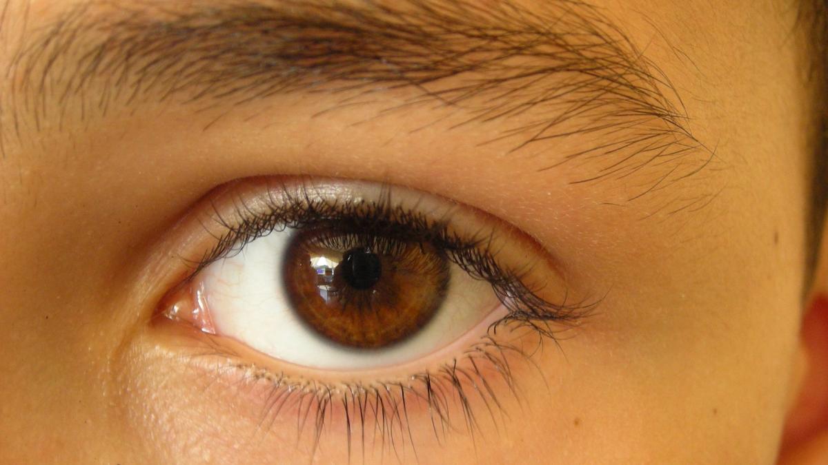 El Ojo Humano: Una Maravilla de la Evolución, Aunque no una Cámara Perfecta