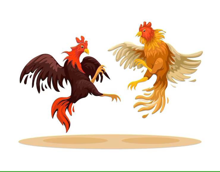 Pelea de gallos, Maltrato animal?